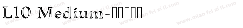 L10 Medium字体转换